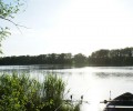 Joshofen Weiher